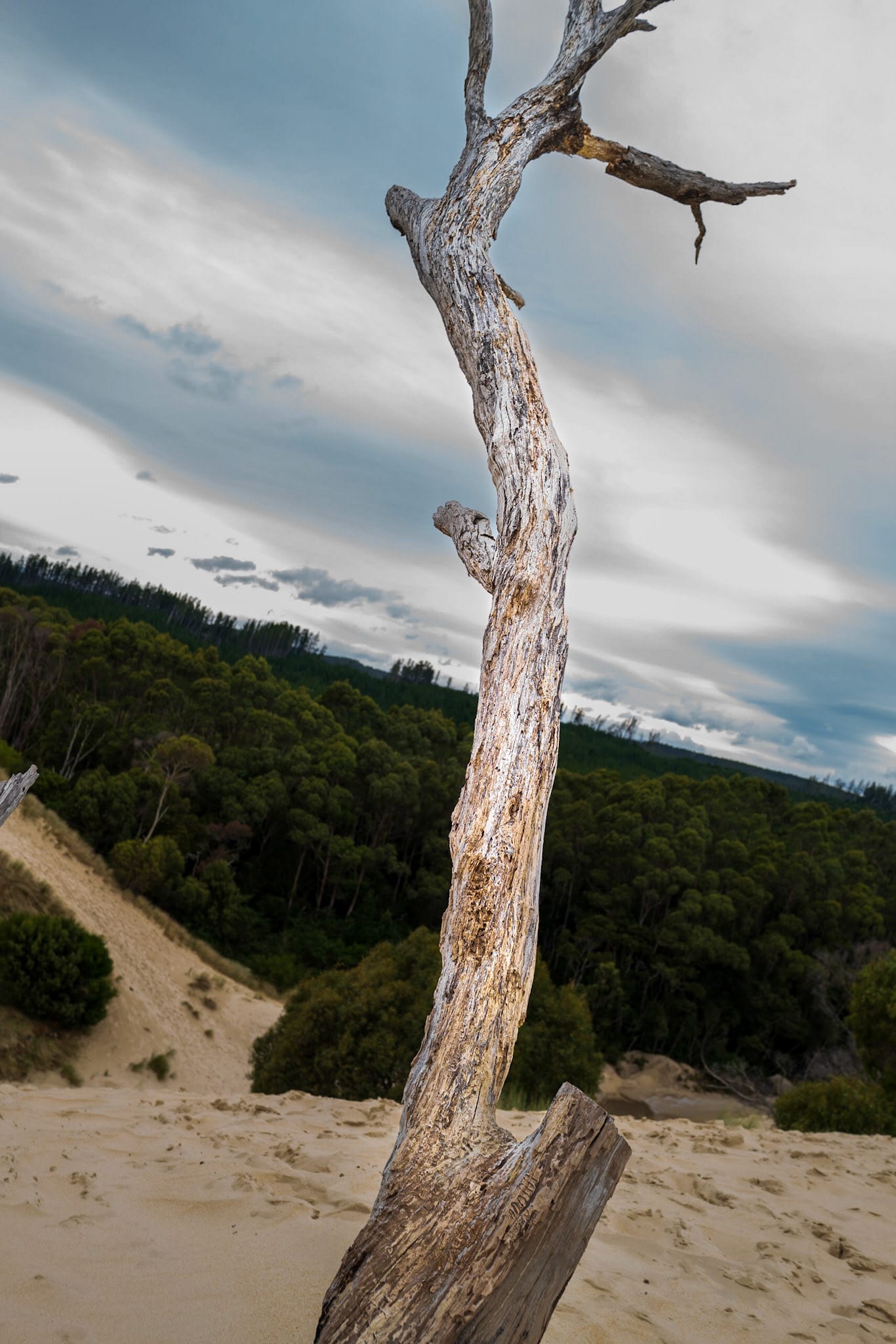 Henty Dunes and Macquarie Harbour, South West Tasmania