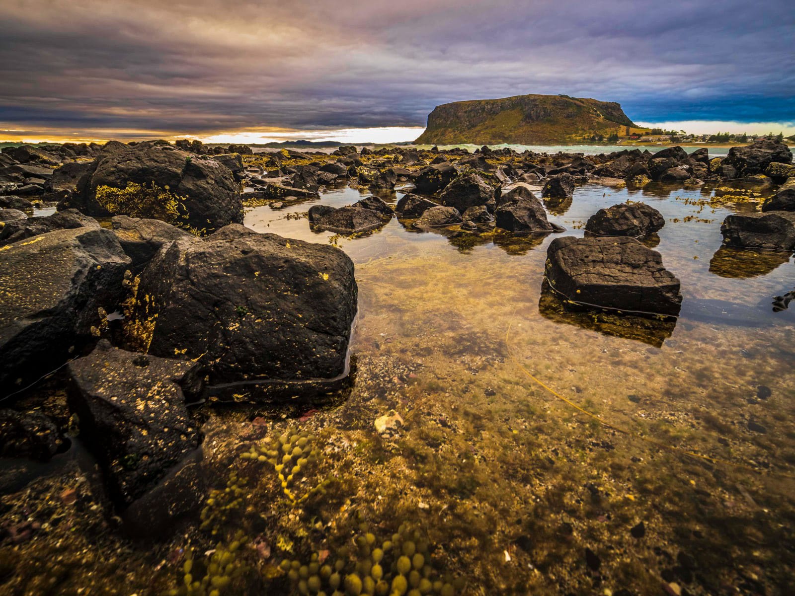 The Tarkine, North-Western Tasmania