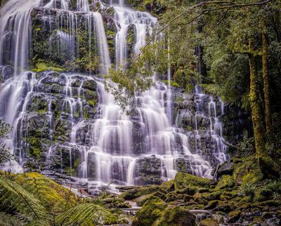 Tasmania - Nelson Falls, Derwent Valley, Mt Wellingon