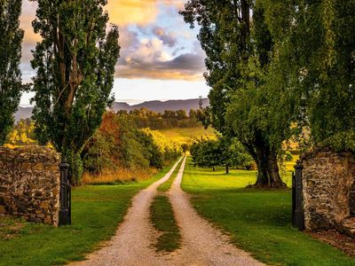 Tasmania - Wesleydale-Farm