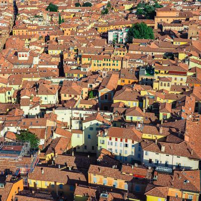 Bologna Rosso